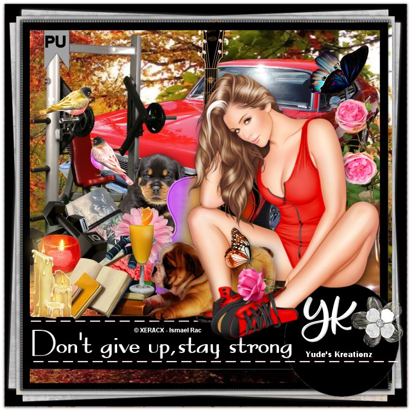 (image for) Don't give up stay strong
